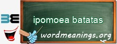 WordMeaning blackboard for ipomoea batatas